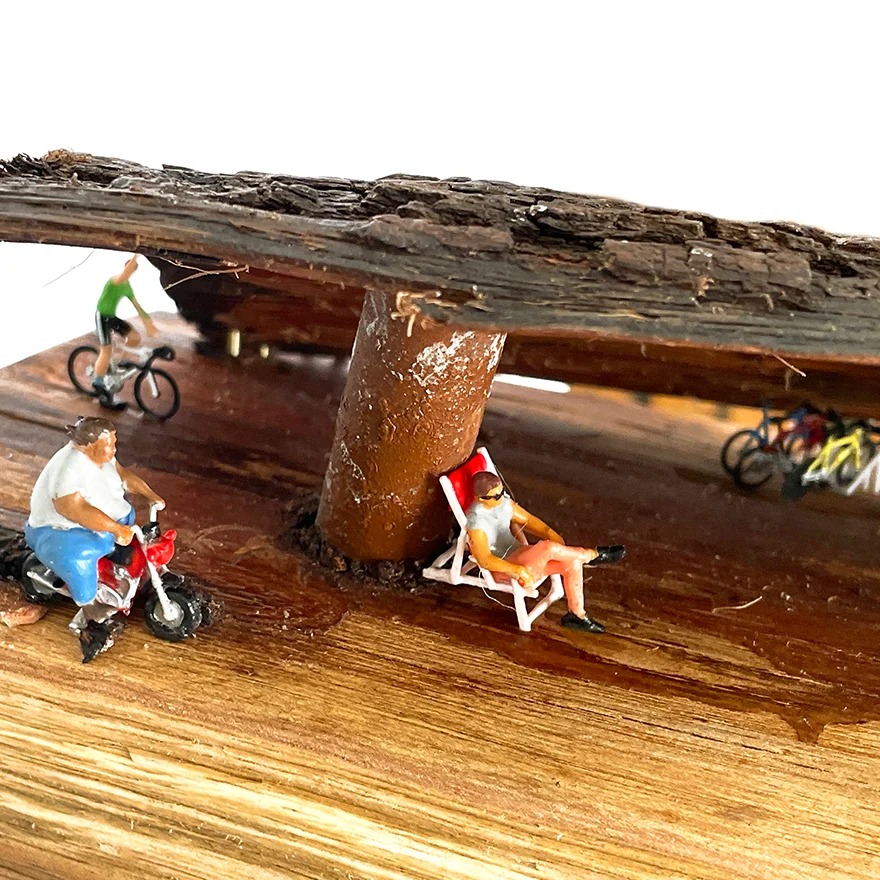 2-E_124-2024-Bajo-Techo-IMG_4988