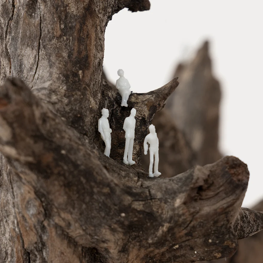 2-E_133-2024-Tarzan-RD_-1877