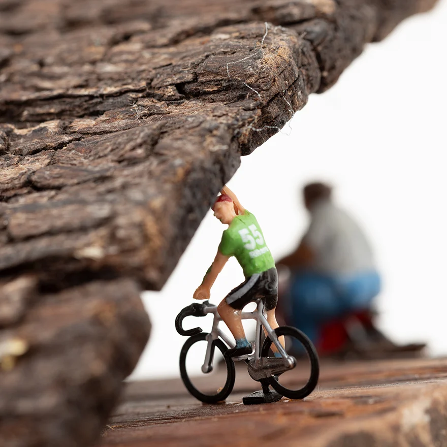 4-E_124-2024-Bajo-Techo-RD_0807