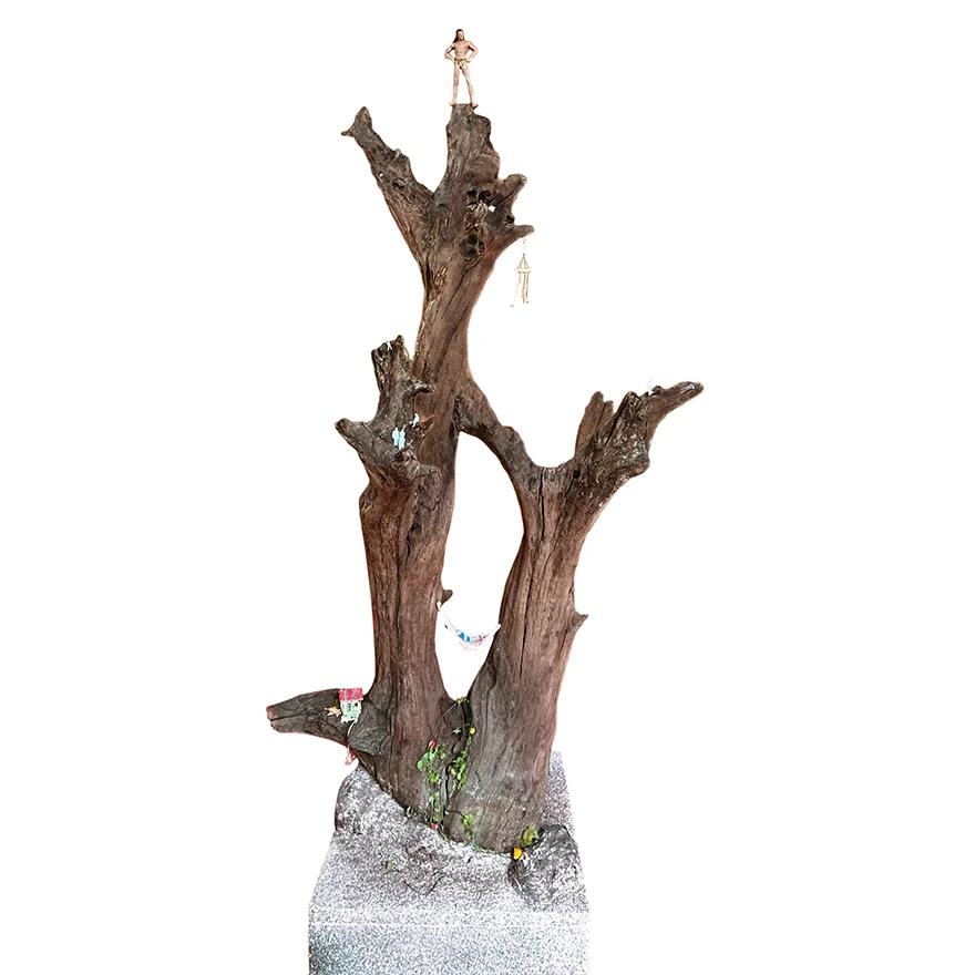 4-E_133-2024-Tarzan-IMG_3497