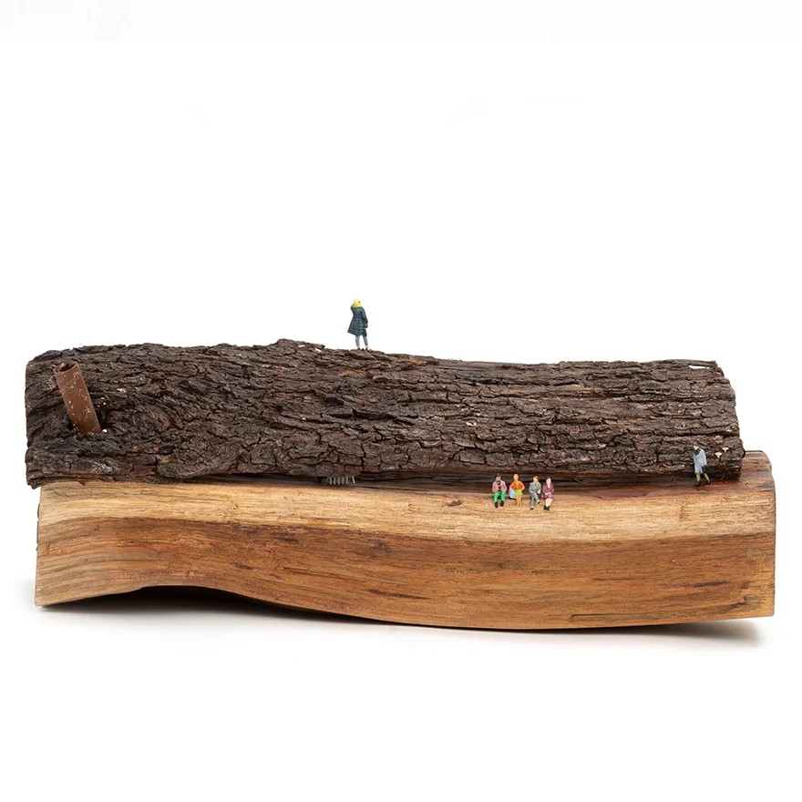 5-E_124-2024-Bajo-Techo-RD_0791