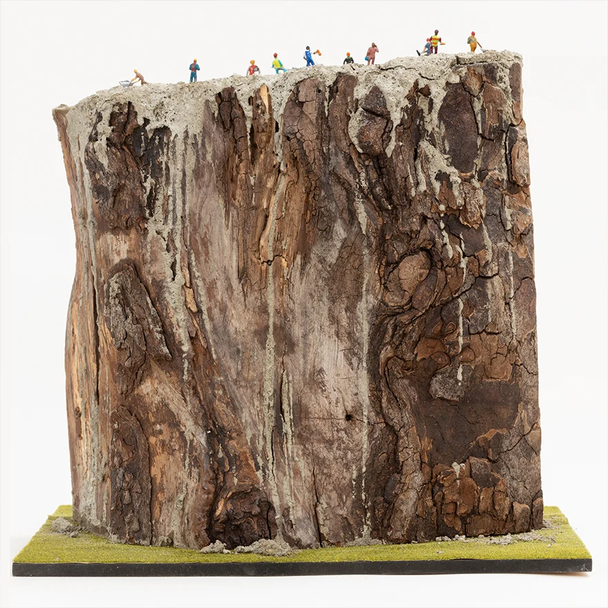 5-E_125-2024-Cemento-RD_0761