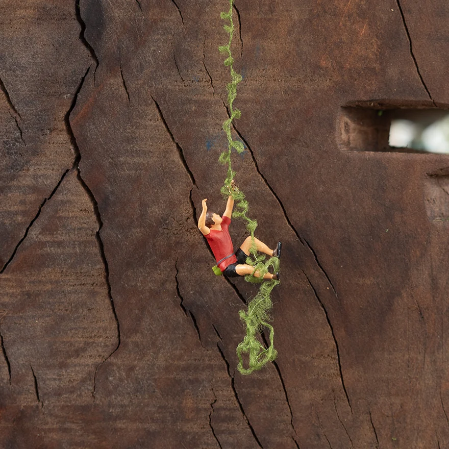 5-E_145-2024-Verde-RD_-29-043