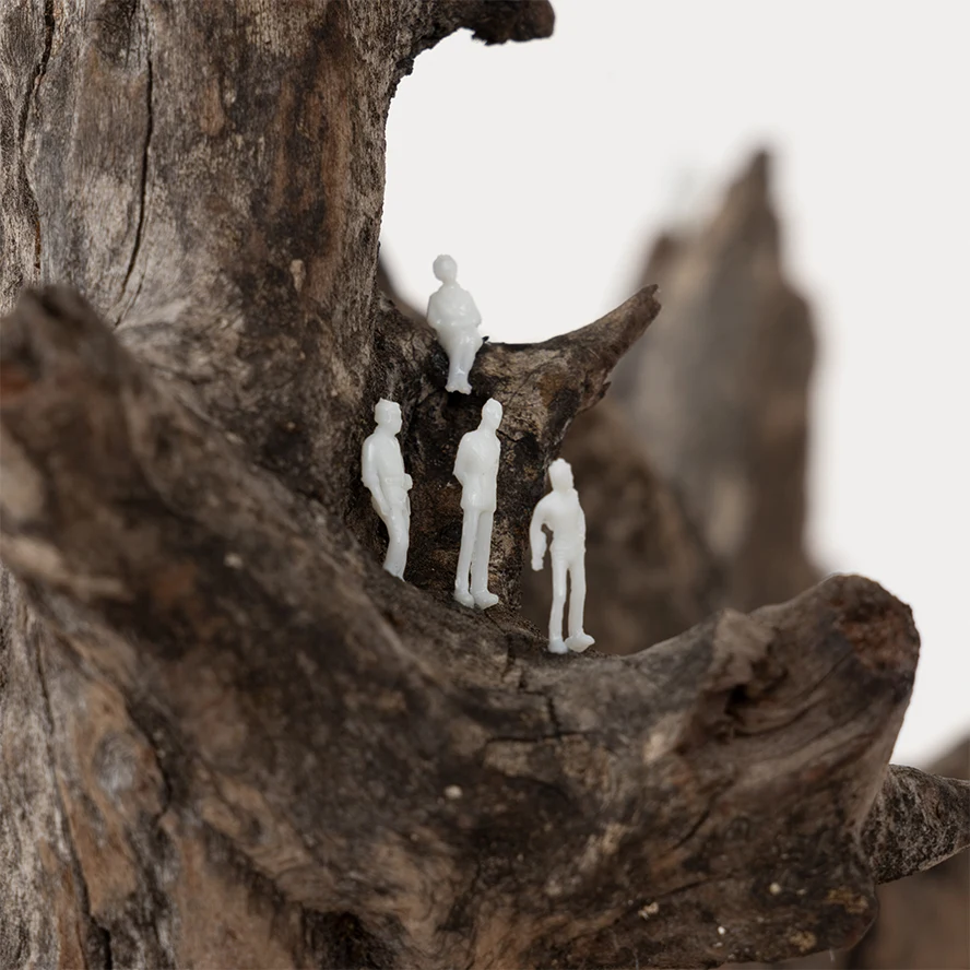 2 E_133 2024 Tarzán RD_ 1877