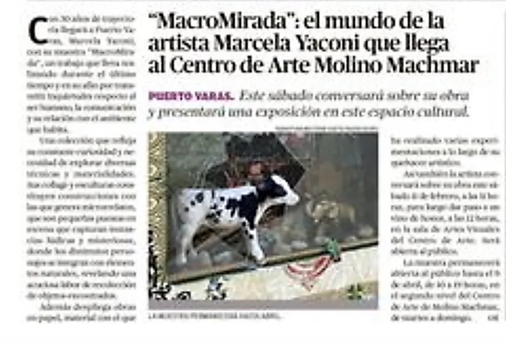 02_07 Pagina 19 articulo MacroMirada copy