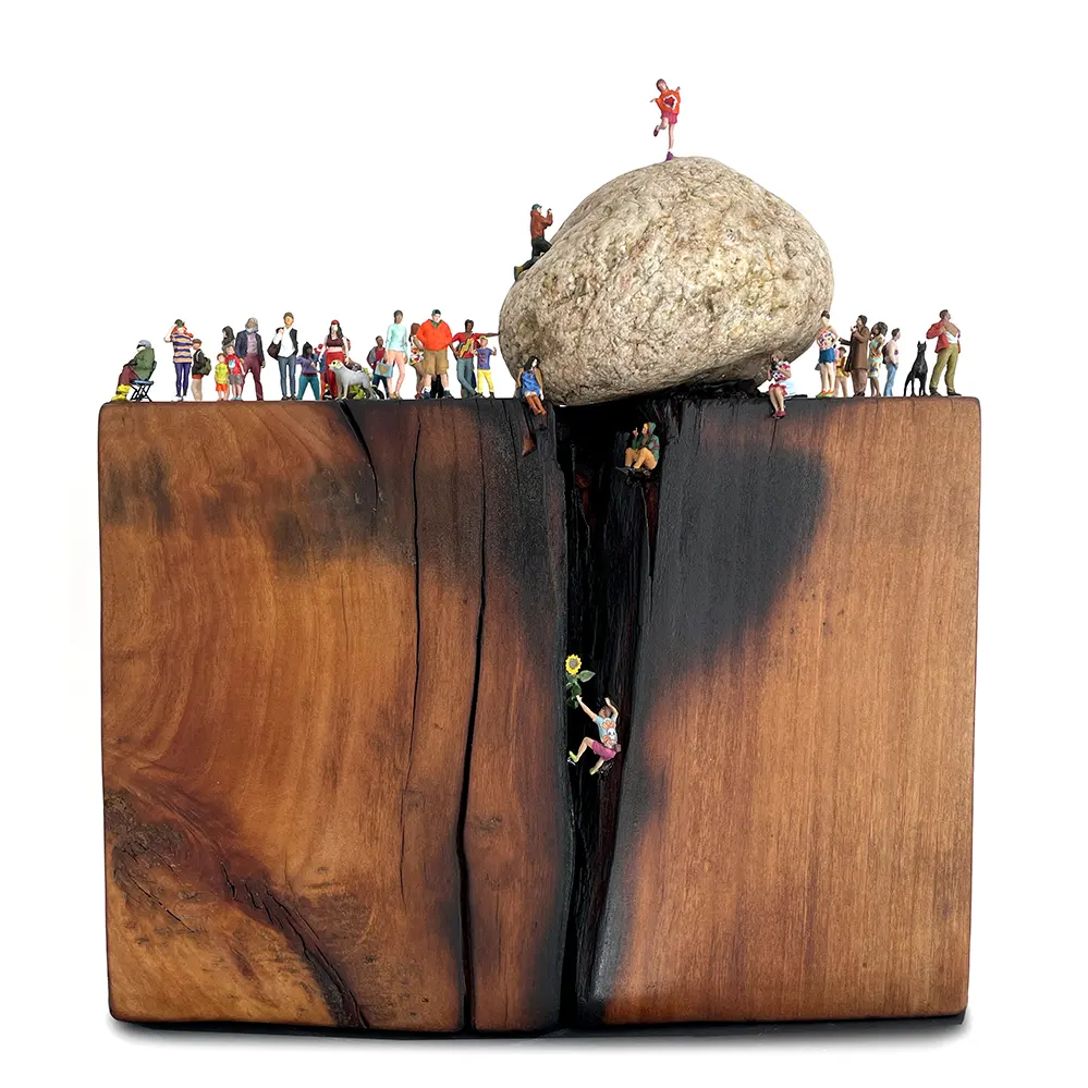 1 E_172 2025 Girasol IMG_5142 copy