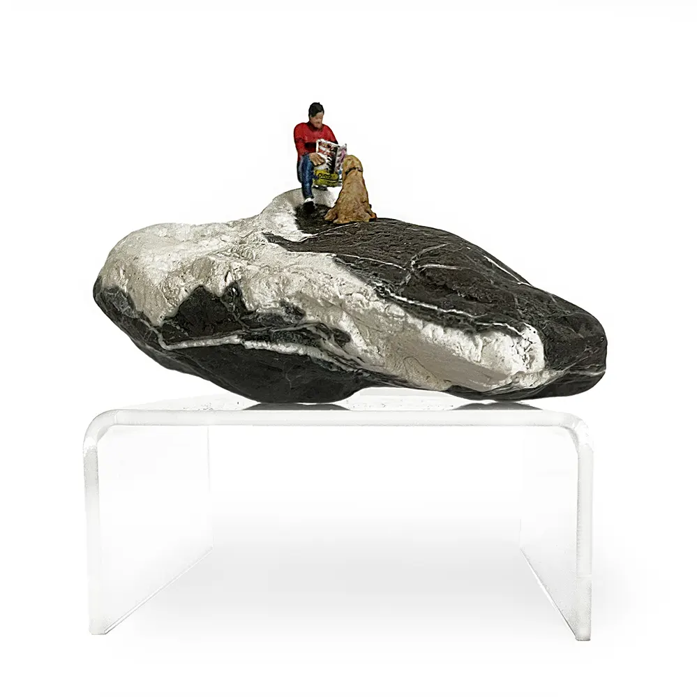 1 E_173 2025 Compañeros IMG_5631