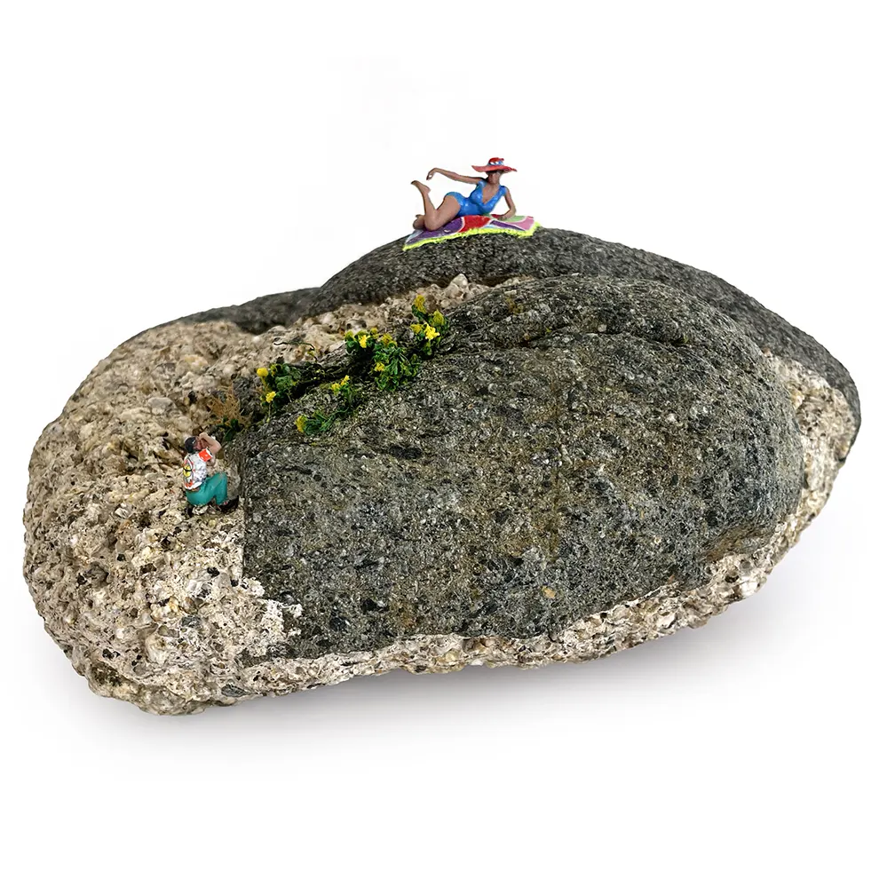 1 E_174 2025 Paparazzi IMG_5597