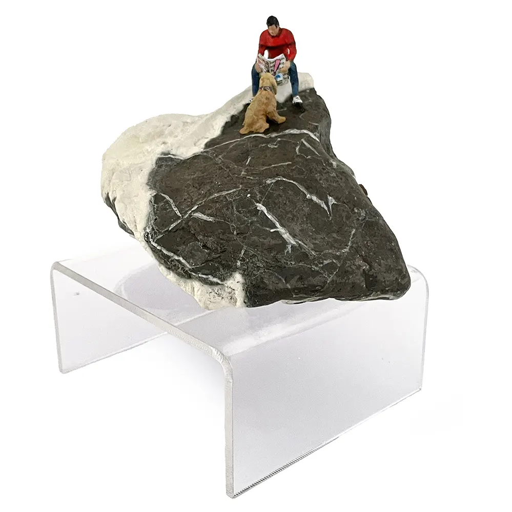 3 E_173 2025 Compañeros IMG_5645