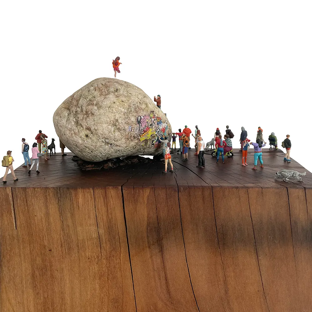 5 E_172 2025 Girasol IMG_5173 copy