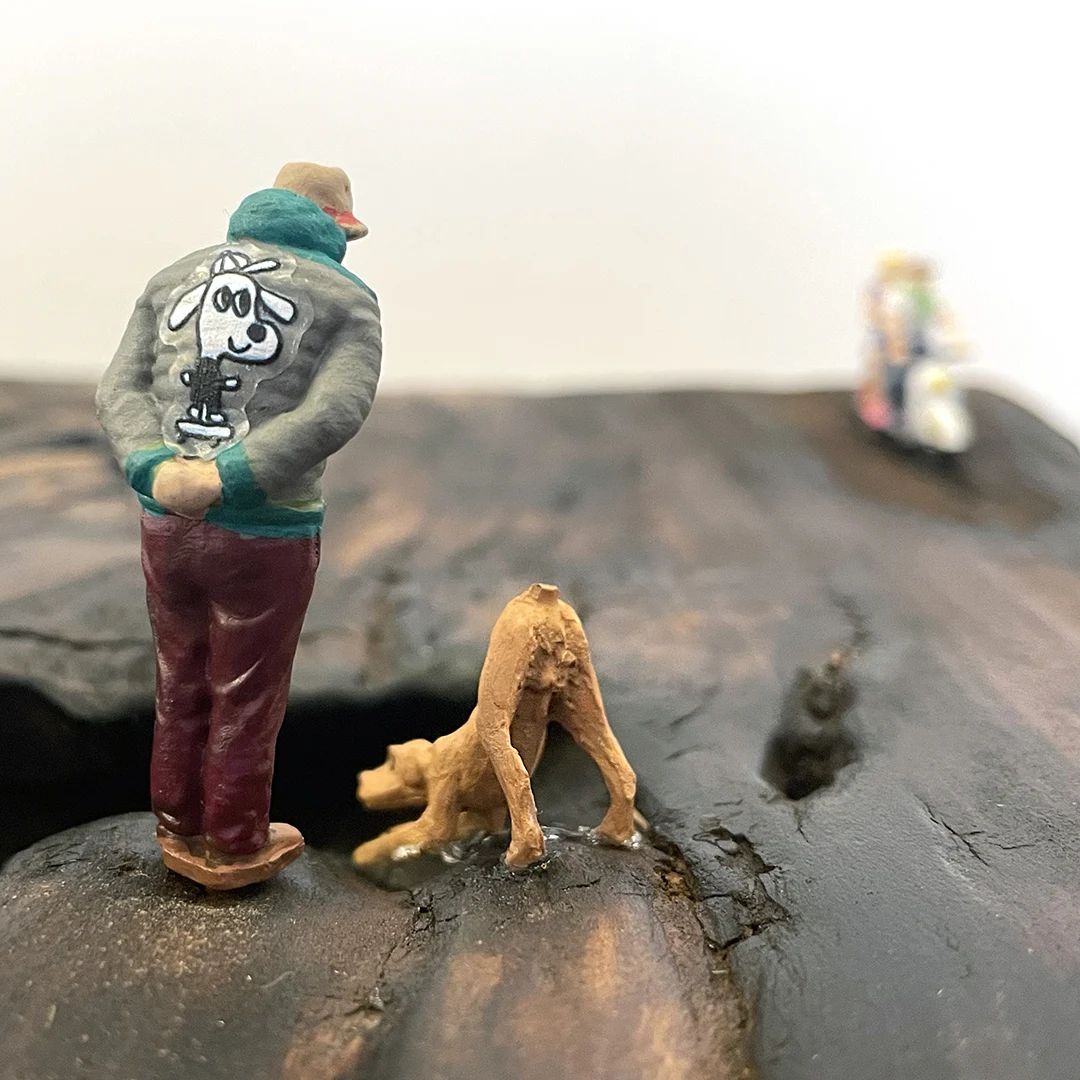 3 E_190 Dia Domingo IMG_3577